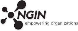 NGIN &ndash; Empowering Organizations